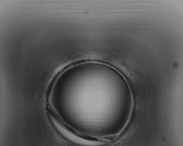 X0000097991264200804011800