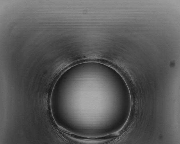 X0000097991265200804011800