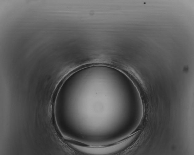 X0000097991268200804011800