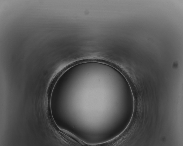 X0000097991270200804011800
