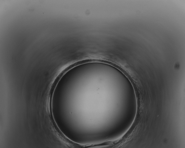 X0000097991272200804011800