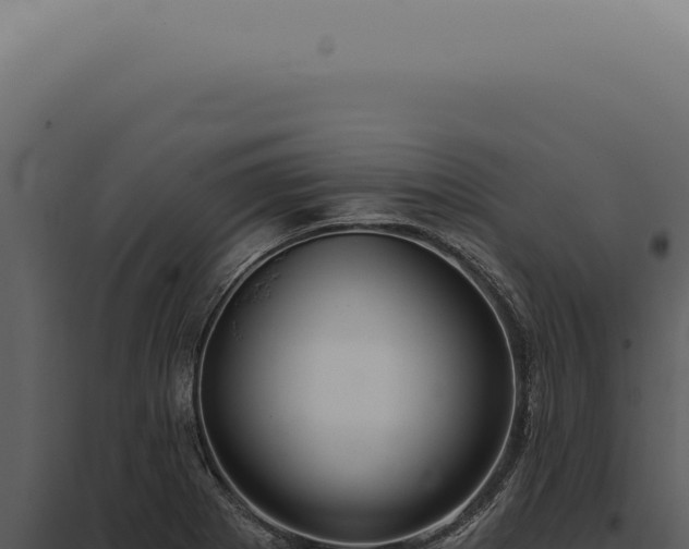 X0000097991273200804011800