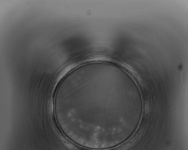 X0000097991274200804011800