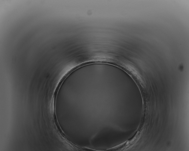 X0000097991275200804011800