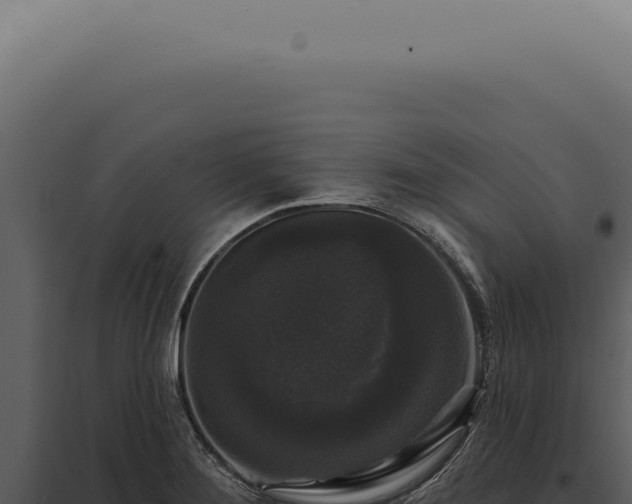 X0000097991276200804011800