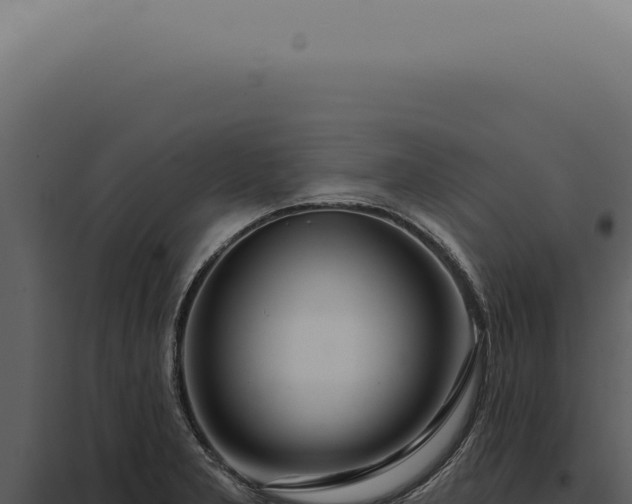 X0000097991277200804011800