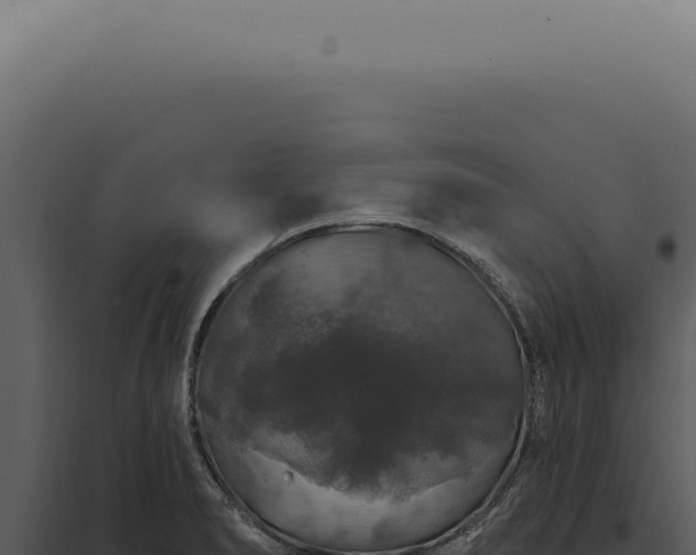 X0000097991278200804011800