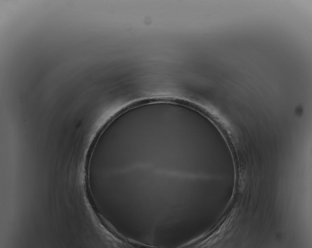 X0000097991279200804011800