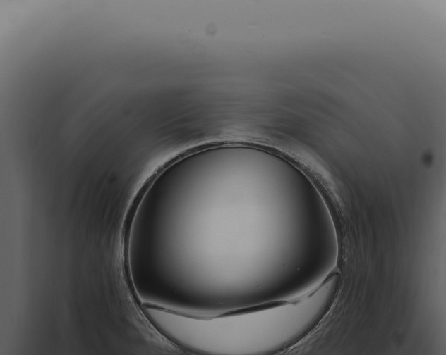 X0000097991280200804011800