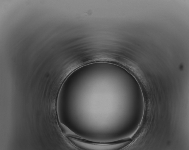 X0000097991281200804011800