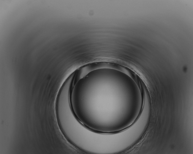 X0000097991283200804011800