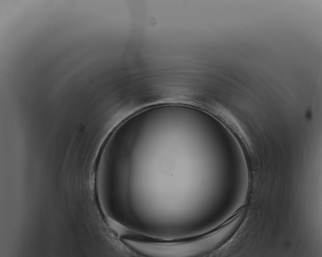 X0000097991284200804011800
