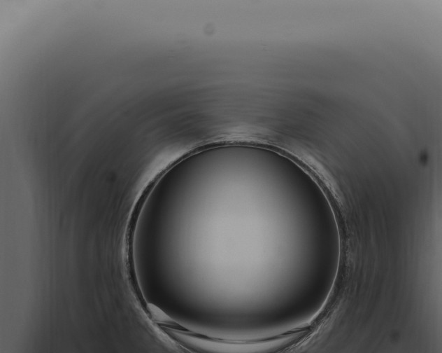 X0000097991285200804011800