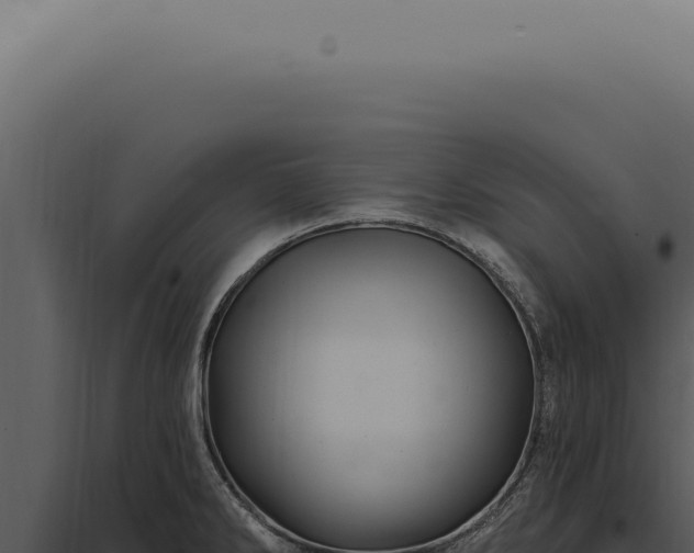 X0000097991286200804011800