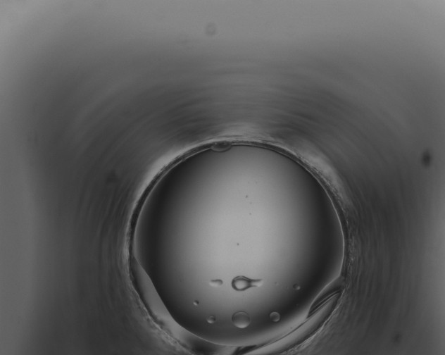 X0000097991288200804011800