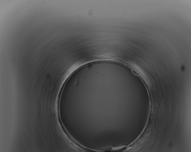 X0000097991291200804011800