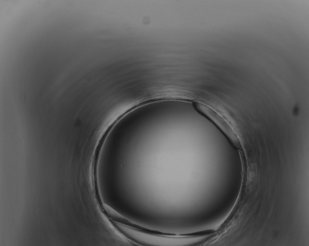 X0000097991293200804011800