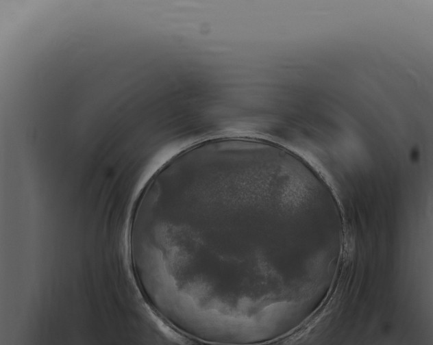 X0000097991294200804011800
