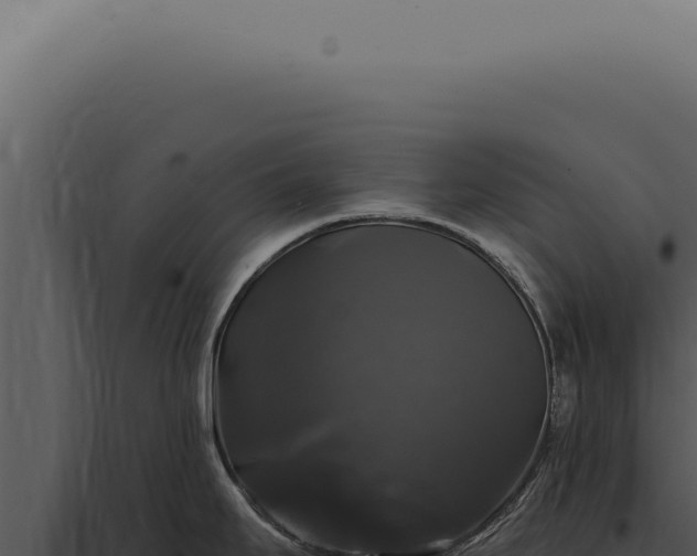 X0000097991295200804011800