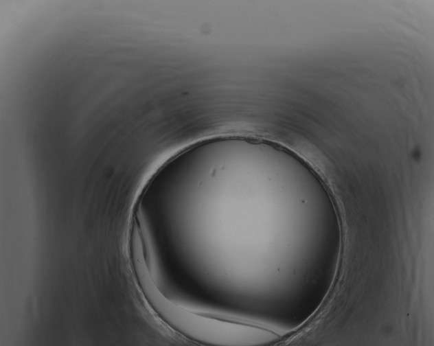 X0000097991296200804011800