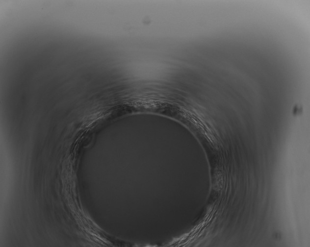 X0000097991297200804011759