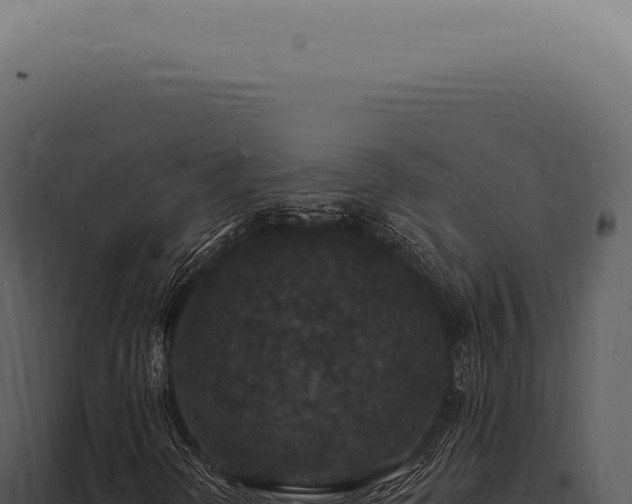 X0000097991298200804011759