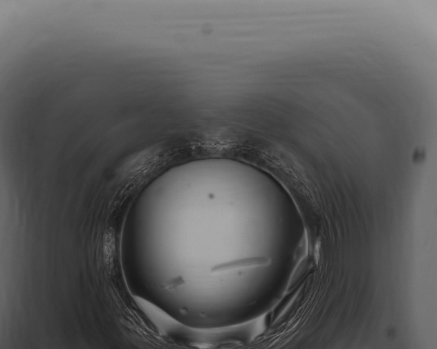 X0000097991299200804011759