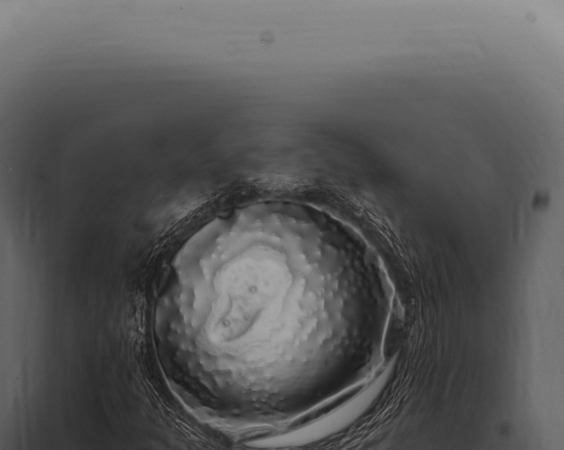 X0000097991301200804011759