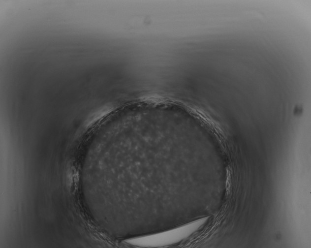 X0000097991302200804011759