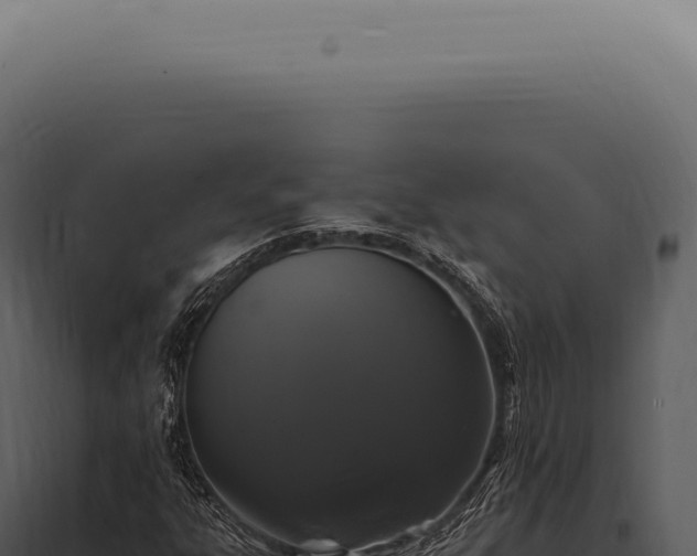 X0000097991303200804011759