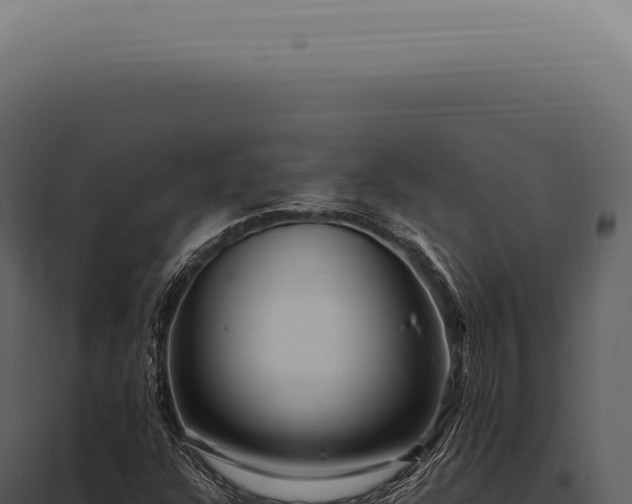 X0000097991304200804011759