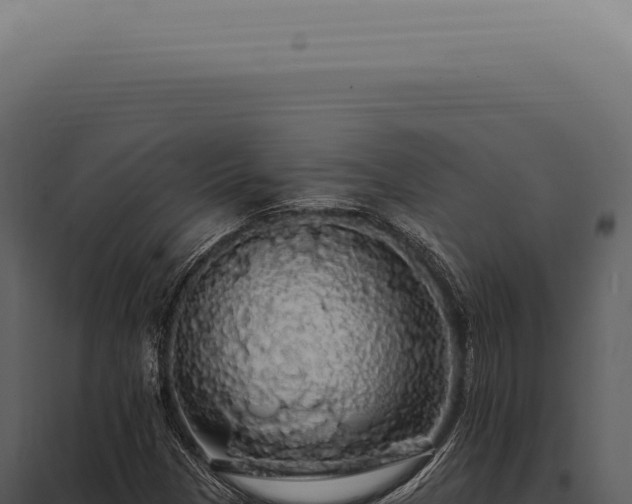 X0000097991305200804011759
