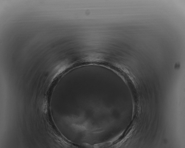 X0000097991306200804011759
