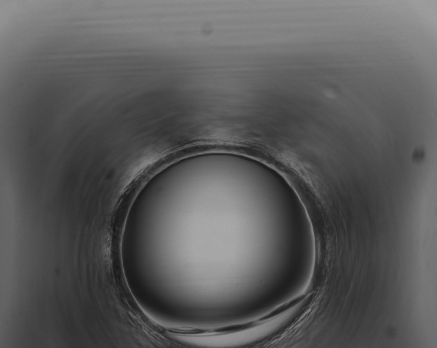 X0000097991307200804011759