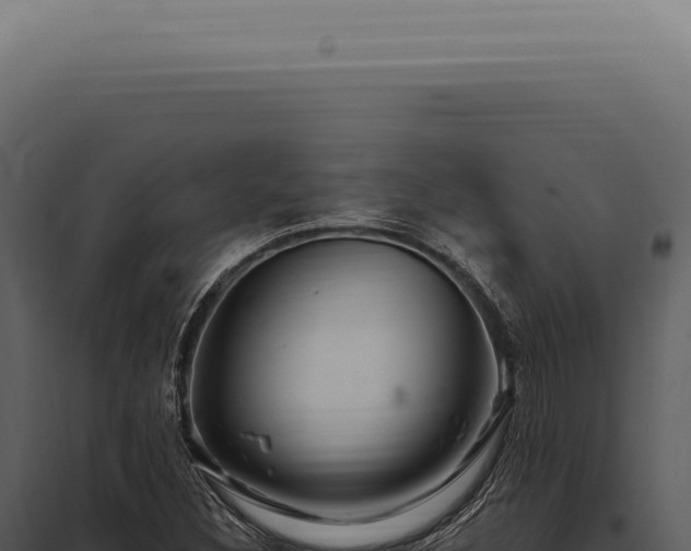 X0000097991308200804011759
