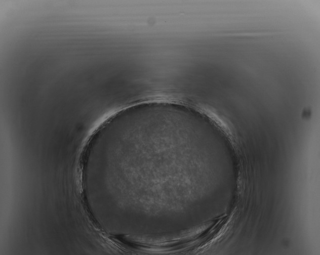 X0000097991310200804011759