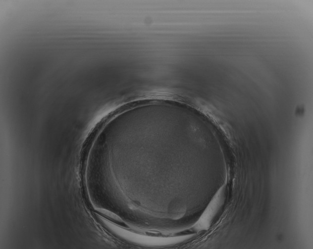 X0000097991312200804011759