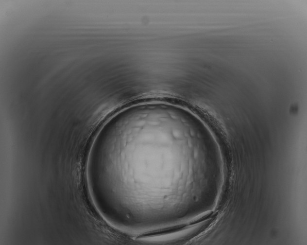 X0000097991313200804011759