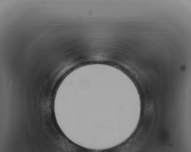 X0000097991314200804011759