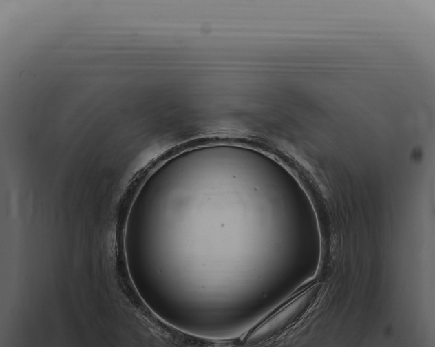 X0000097991315200804011759