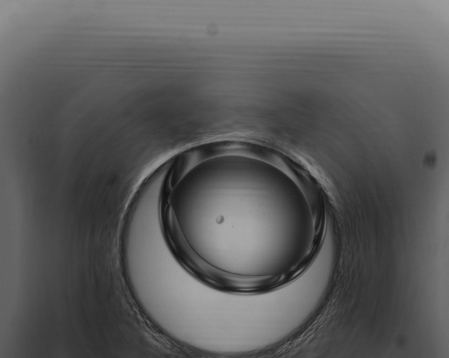 X0000097991316200804011759