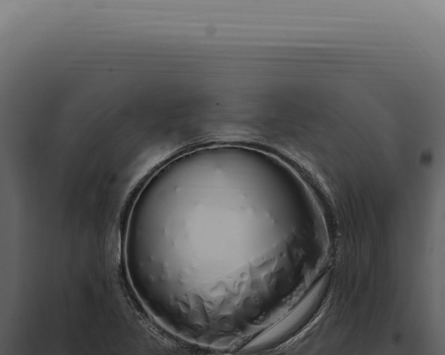 X0000097991317200804011759