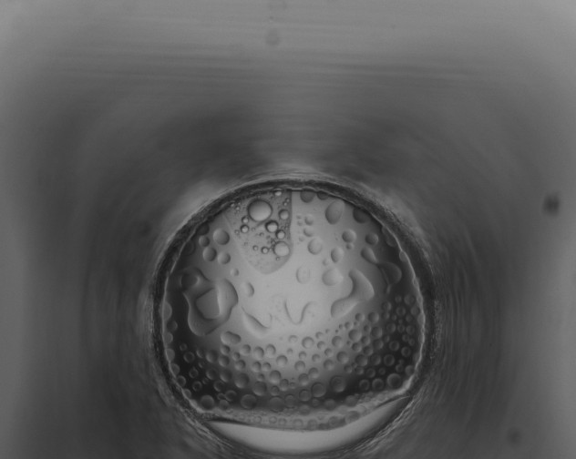 X0000097991318200804011759