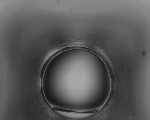 X0000097991320200804011759