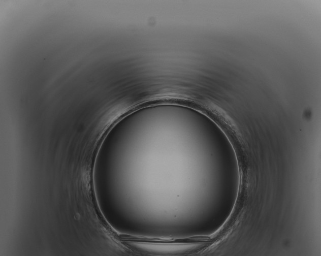 X0000097991321200804011759