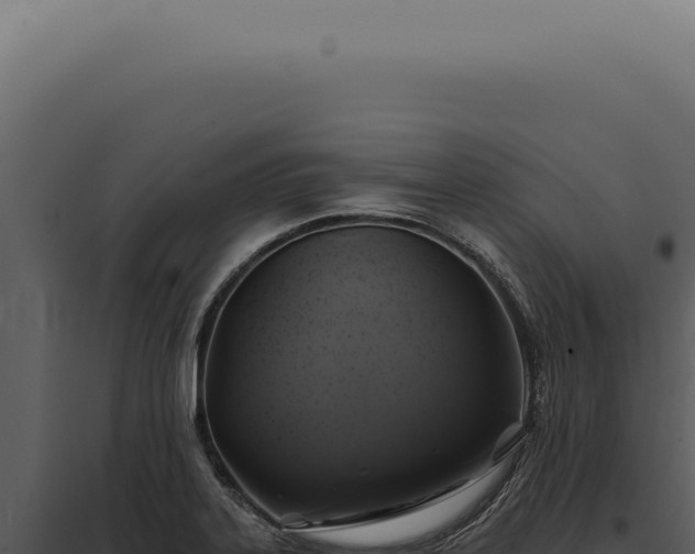 X0000097991323200804011759