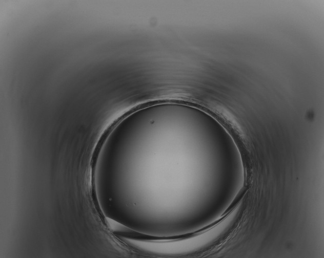 X0000097991324200804011759