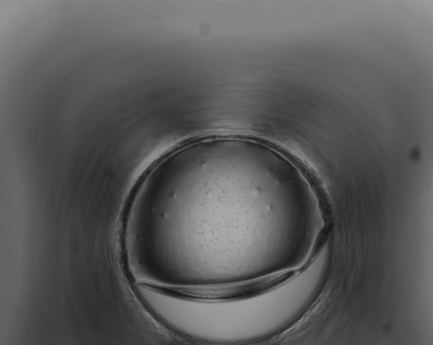 X0000097991325200804011759