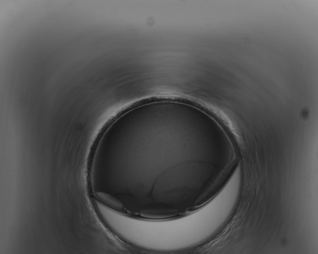 X0000097991327200804011759