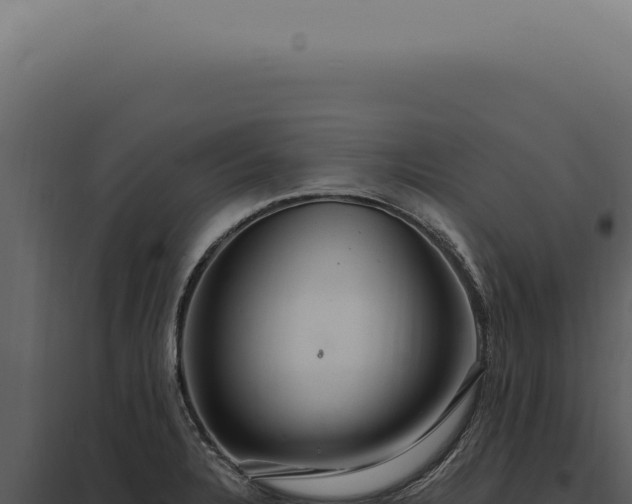 X0000097991328200804011759